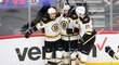 Hokejisté Boston Bruins bojují v dalším kole play off s New York Islanders