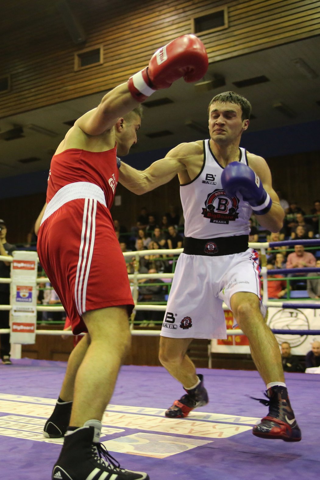 Nebáli se konkurence. Boxeři BigBoardu v bundeslize bojovali ze všech sil.