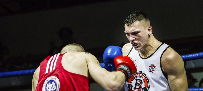 Boxeři pražského BC BigBoard se předvedou v Německu. Jejich bundesligovým sokem bude tým Nordhäuser SV.