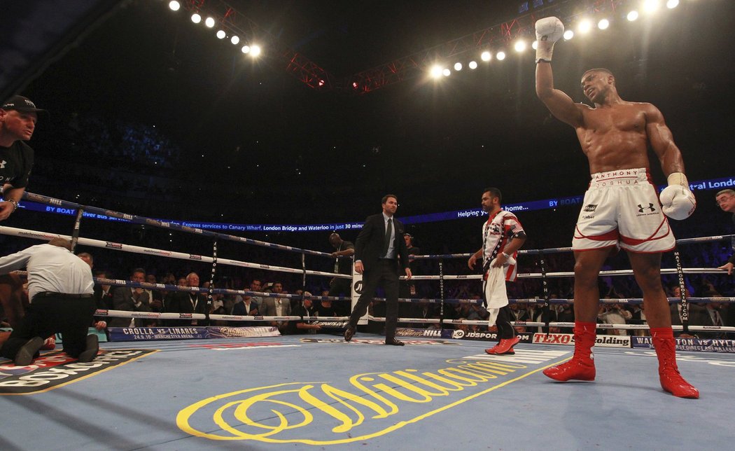 Britský boxer Anthony Joshua obhájil titul profesionálního mistra světa těžké váhy organizace IBF.