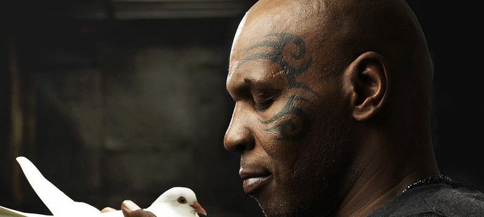 Takhle Mike Tyson propagoval svůj šestidílný dokument o poštovních holubech