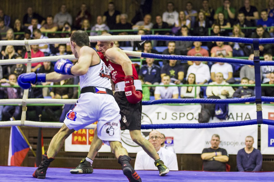 Čeští boxeři se utkají s Rakušany