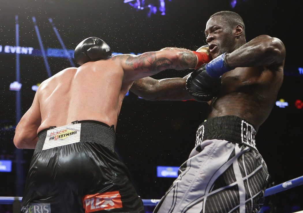 Deontay Wilder (vpravo) se se svým soupeřem moc nepáral