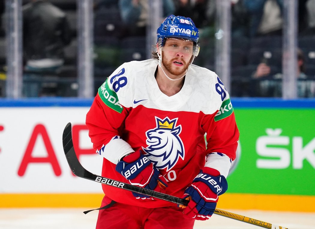 Česká hokejová hvězda David Pastrňák