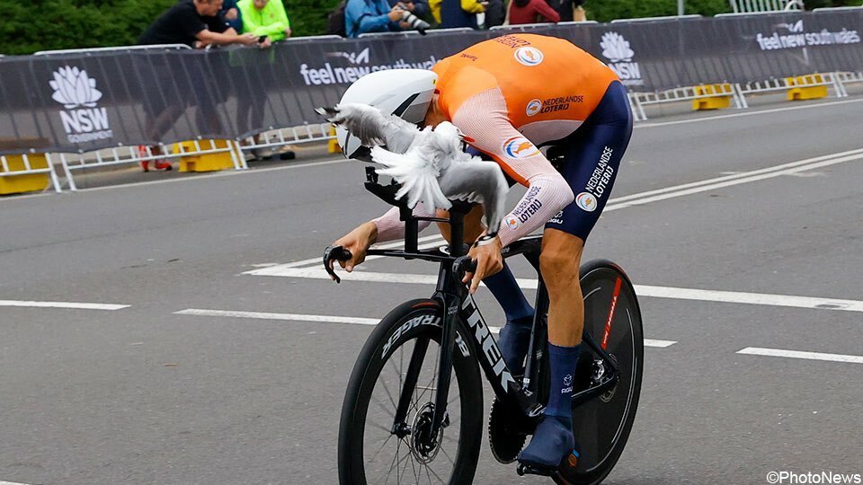 Bauke Mollema čelil útokům rozzuřeného ptáka