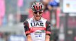 Jezdec stáje UAE Alessandro Covi slaví výhru na královské etapě Gira na horu Marmolada