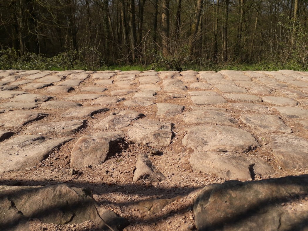 Závod Paříž-Rubaix chystá cyklistům pořádnou prověrku.