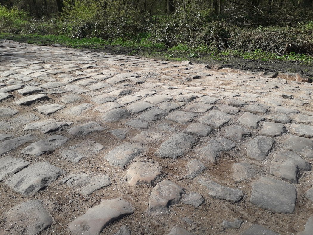 Závod Paříž-Rubaix chystá cyklistům pořádnou prověrku.