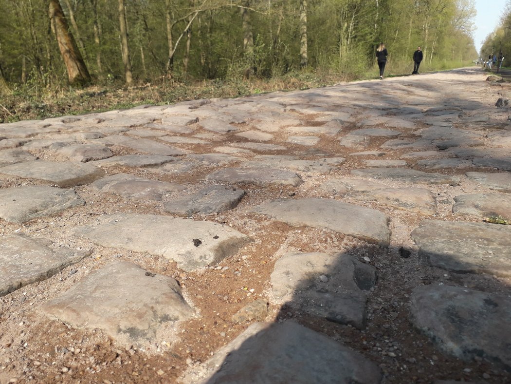 Závod Paříž-Rubaix chystá cyklistům pořádnou prověrku.