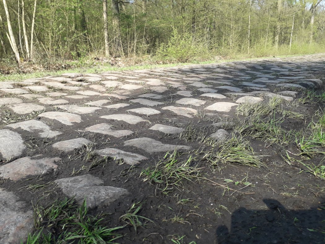 Závod Paříž-Rubaix chystá cyklistům pořádnou prověrku.