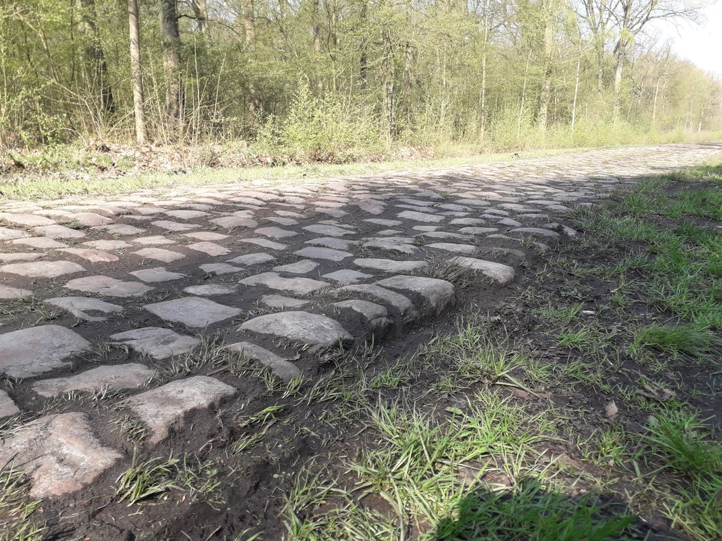 Závod Paříž-Rubaix chystá cyklistům pořádnou prověrku.