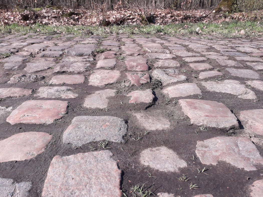 Závod Paříž-Rubaix chystá cyklistům pořádnou prověrku.