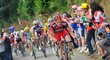 Tady Cadel Evans ještě věřil, že by mohl stáhnout ztrátu na vedoucího muže Tour Wigginse. Připínáčky ovšem všechno zhatily