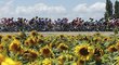 Peloton Tour de France na trati 14. etapy