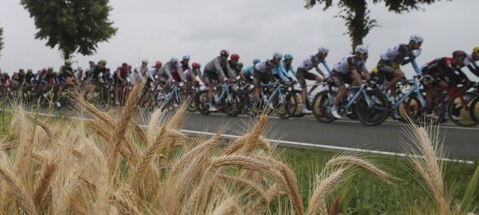 Peloton během druhé etapy Tour de France