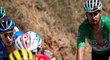 Slovenský cyklista Peter Sagan se na trati druhé etapy Tour de France neztratil, ale o zelený dres přišel