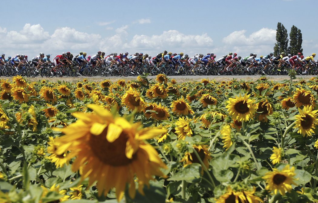 Peloton Tour de France na trati 14. etapy