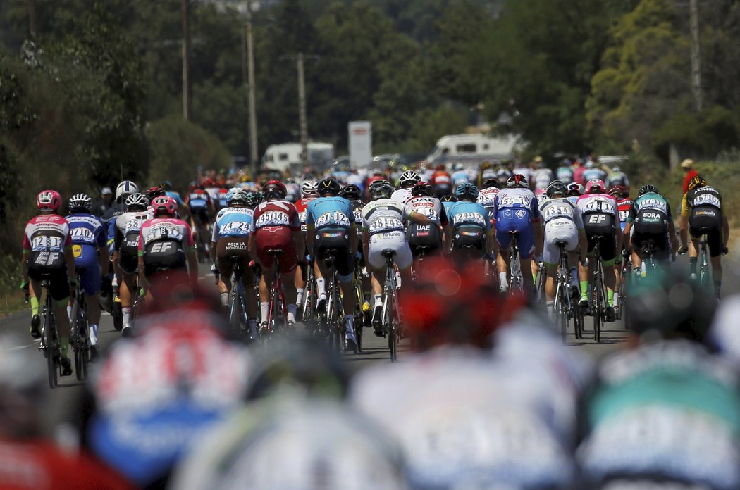 Pohled na peloton při 14. etapě Tour de France