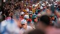 Peleton v poslední etapě Vuelty