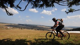 Cyklovýlety na Plzeňsku - jízda přírodou i městy