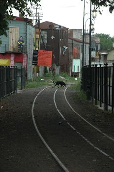 Pohledy z Buenos Aires