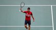 Novak Djokovič titul v Davis Cupu letos nezíská