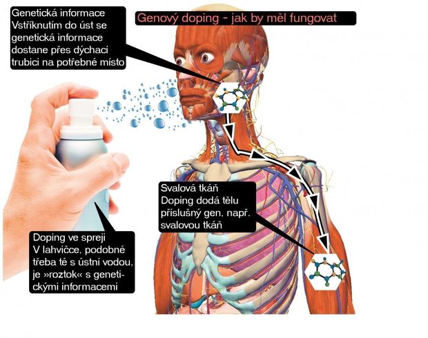 infografika infografika