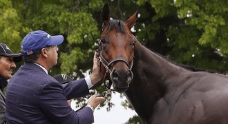 Chtěl ho prodat kvůli dluhům. Teď mu kůň vydělal pohádkové bohatství