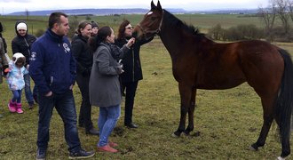 Unikátní dárek k Vánocům? Členství v dostihovém klubu s Váňou!