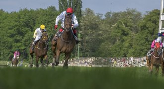 Nová Registana? Izynka porazila i dva vítěze Velké pardubické