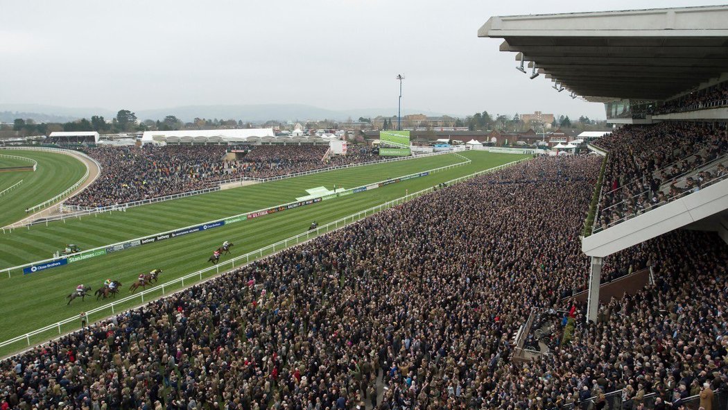 V anglickém Cheltenhamu proběhl minulý týden nejprestižnější překážkový mítink světa s celou parádou. Více jak čtvrt milionu diváků nezastavila hrozba koronaviru ani nedávné povodně v Anglii