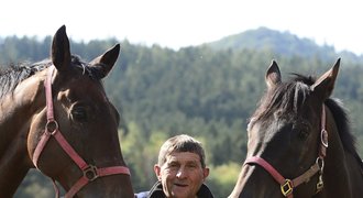 Dostihový klub iSport.cz láká členy, Váňa poskytne koně