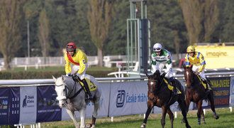 Tragédie na dostizích v Brně. Žokej Köhl nepřežil pád ze Zadara