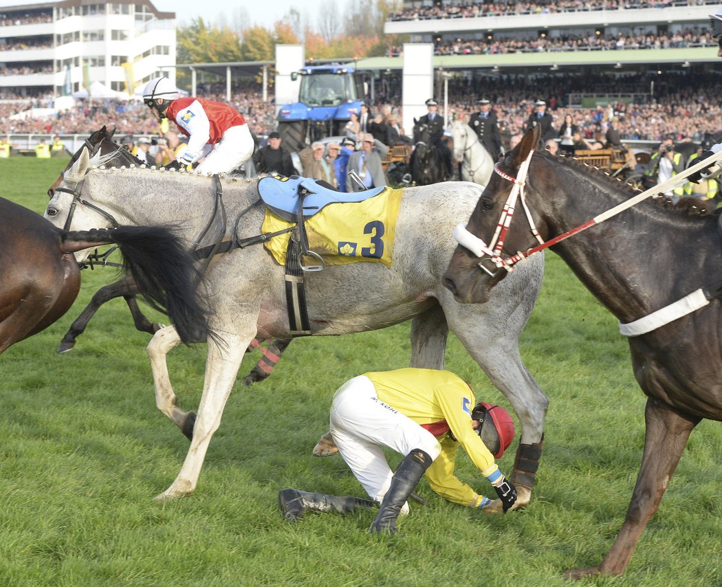 Takhle Köhl upadl na Velké pardubické před rokem.