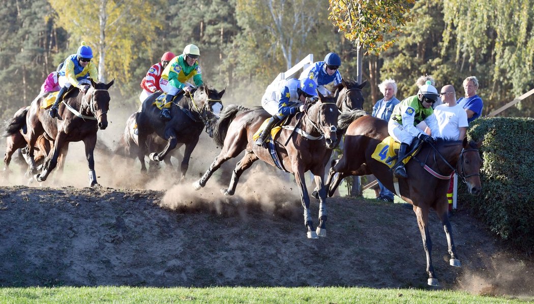 Marek Stromský s Hegnusem (vpravo) na Velké pardubické