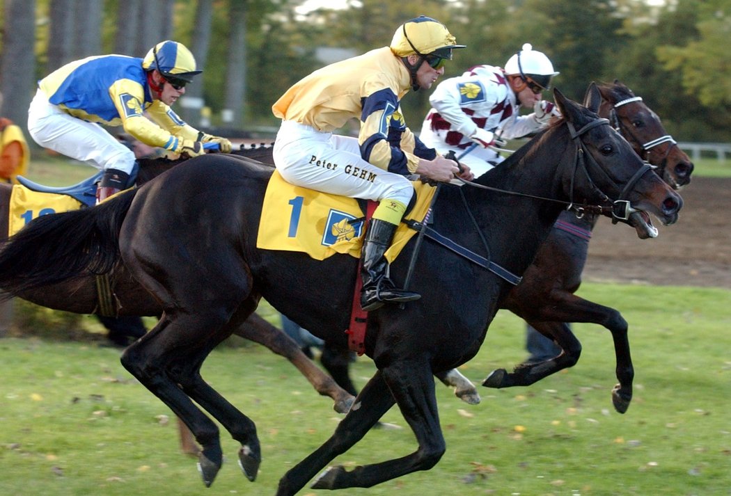 Registana a Peter Gehm (ve žlutém) při Velké pardubické v roce 2004