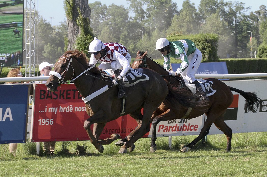 Ryzák Zarif (Köi Dent) vyhrál s Josefem Bartošem první kvalifikaci na Velkou pardubickou steeplechase