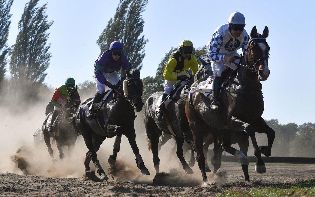 Lombargini s žokejem Janem Faltejskem v jednom z rámcových dostihů Velké pardubické v roce 2018