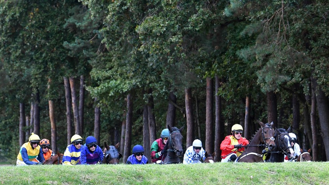 Koně při pardubické Ceně Labe na Irské lavici