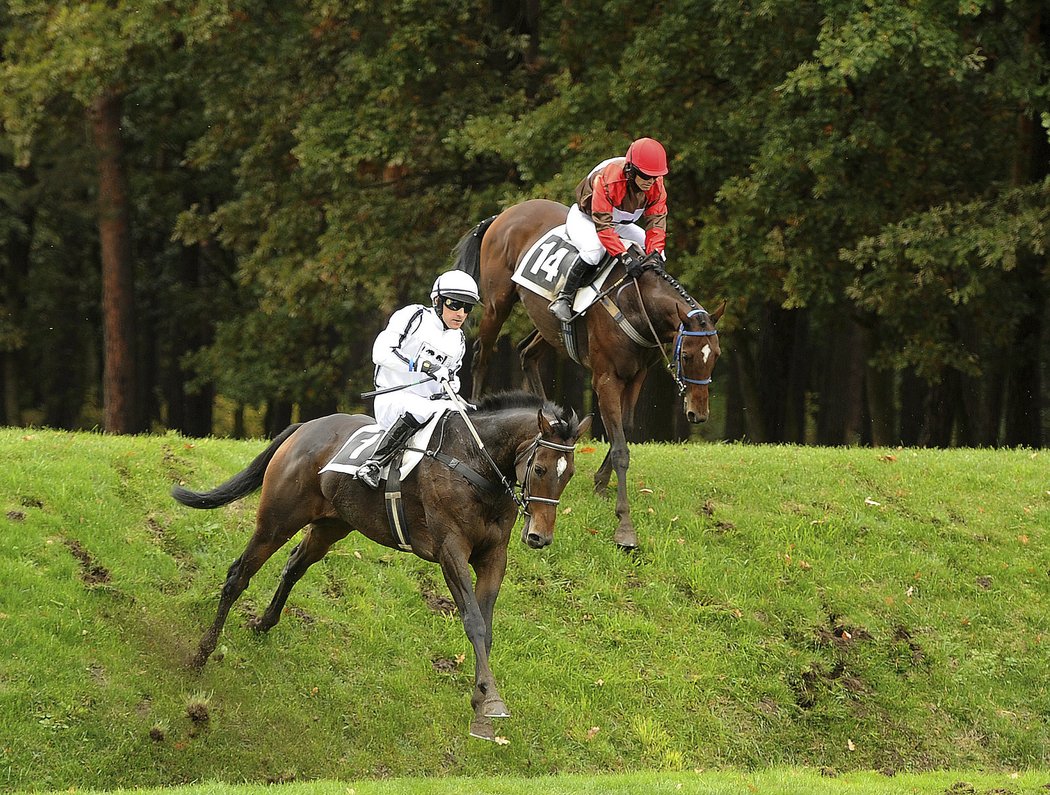 Sixtyseven v sedle s Jakubem Kocmanem (vlevo) v jednom z rámcových dostihů na Velké pardubické 2016