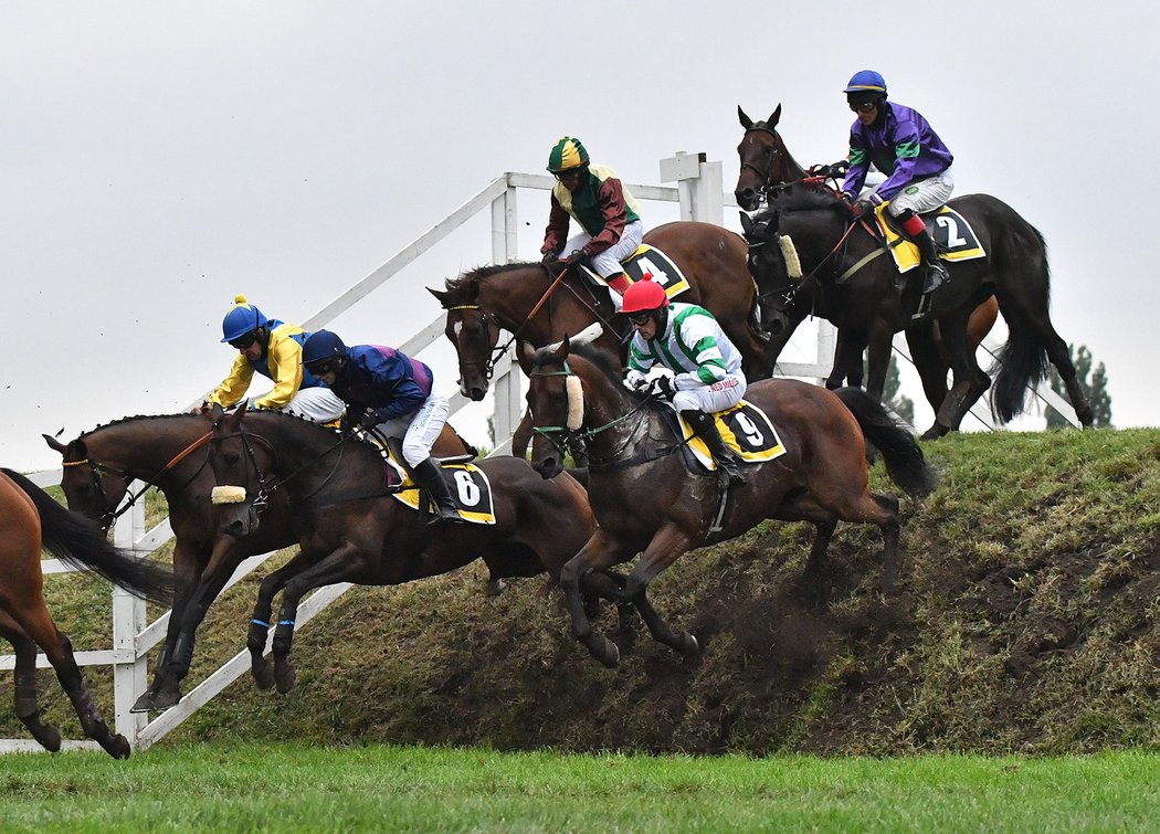 Kůň Theophilos s Josefem Bartošem si díky druhému místu ve čtvrté kvalifikaci zajistili právo startu ve 129. ročníku Velké pardubické steeplechase se Slavia pojišťovnou. Spokojená byla i trenérka a ošetřovatelka Pavla Váňová. 