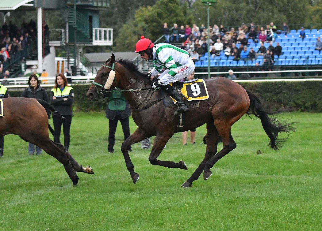 Kůň Theophilos s Josefem Bartošem si díky druhému místu ve čtvrté kvalifikaci zajistili právo startu ve 129. ročníku Velké pardubické steeplechase se Slavia pojišťovnou. Spokojená byla i trenérka a ošetřovatelka Pavla Váňová. 