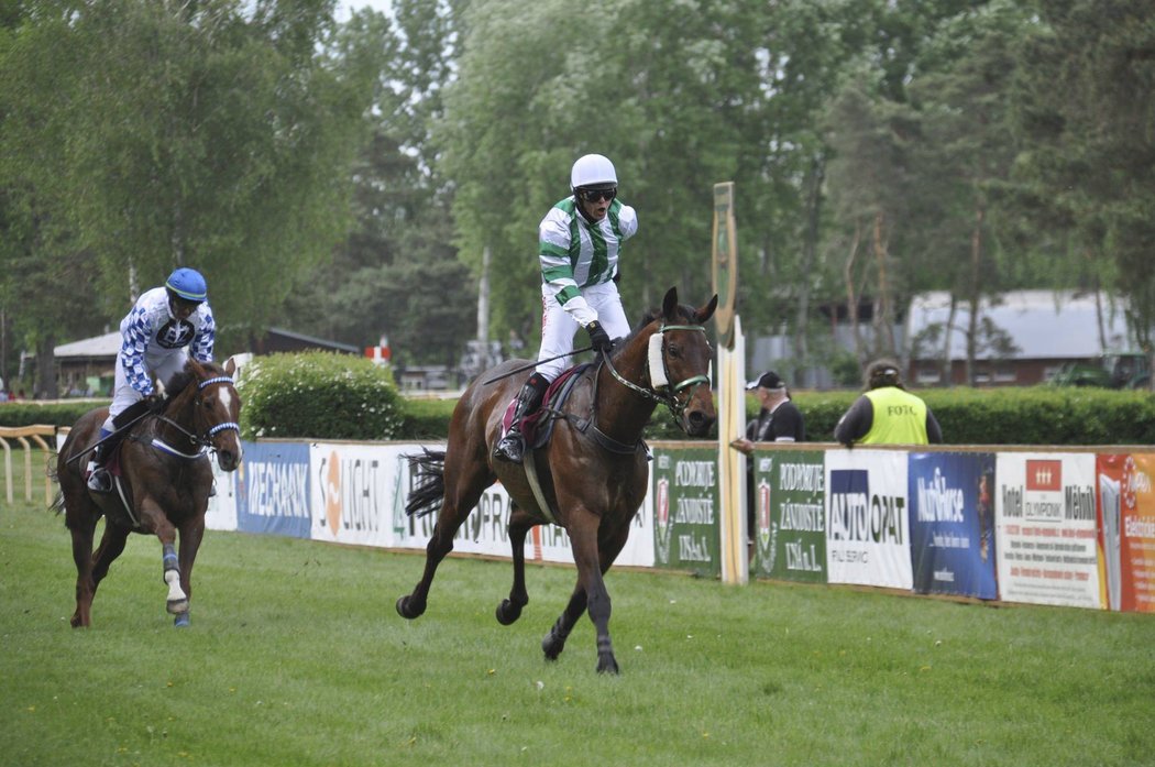 Theophilos s Janem Kratochvílem v sedle obhájili triumf v Prvomájové steeplechase v Lysé nad Labem