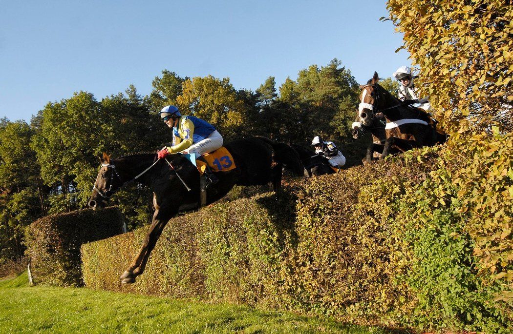 Bývalý elitní žokej a trenér Tomáš Hurt, stříbrný z Velké pardubické 2007, tragicky zemřel v den svých 38. narozenin. Informaci přinesl server Jezdci.cz. Podlehl zraněním z těžkého pádu v tréninku.