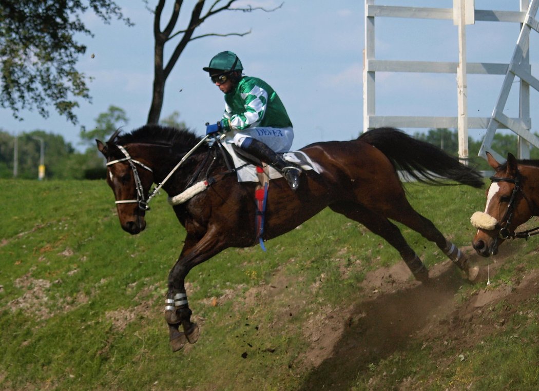 Velkou Pardubickou pojede Trezor podruhé