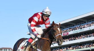 Konec kariéry i snu o Velké pardubické. Vyšetření odhalilo artrózu