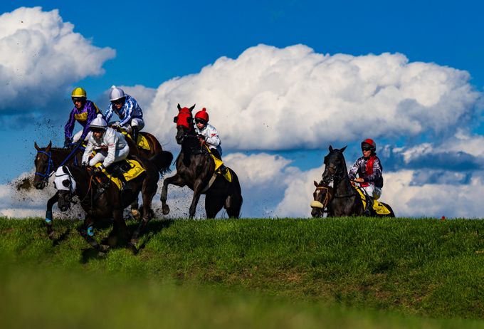 Další odpadlík. Velkou pardubickou poběží pouze deset koní, chybí i loňský šampion Další odpadlík. Velkou pardubickou poběží pouze deset koní, chybí i loňský šampion