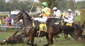 Moula už zahodil podkovy, Velkou pardubickou zkusí znovu za rok