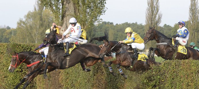 Druhá kvalifikace na 125. Velkou pardubickou s Českou pojišťovnou se poběží v sobotu