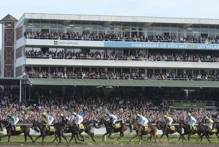 Zaplněná hlavní tribuna při Velké pardubické